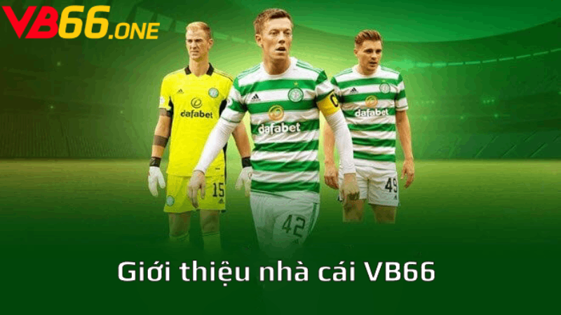 Lịch sử hình thành và phát triển của VB66